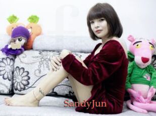 SandyJun