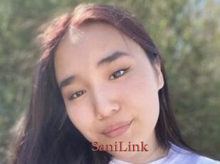 SaniLink