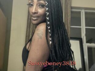 Sassyeboney3838