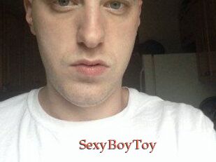SexyBoyToy
