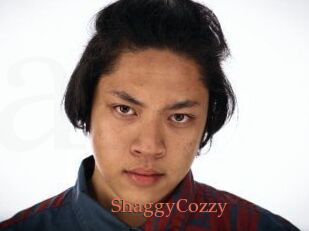 ShaggyCozzy