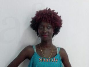 Shandy