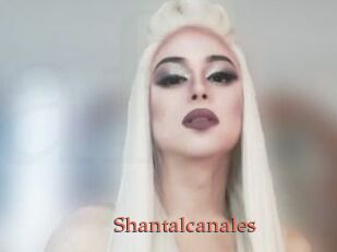 Shantalcanales