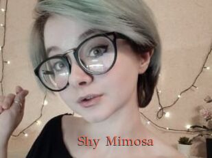 Shy_Mimosa