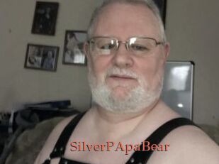 SilverPApaBear