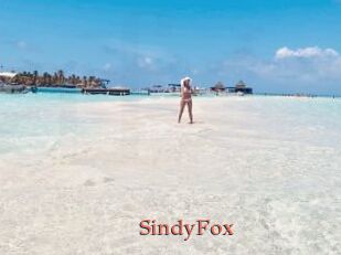 SindyFox