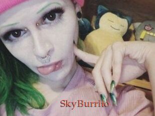 SkyBurrito