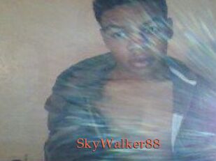 SkyWalker88