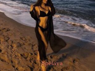 Spelaya