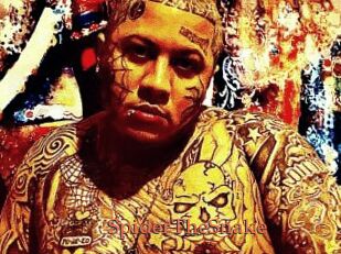 SpiderTheSnake