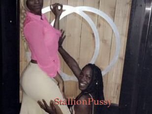 StallionPussy