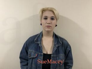 SueMacey
