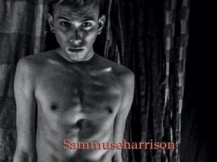 Sammuseharrison