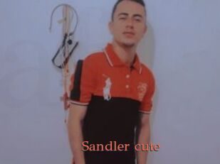 Sandler_cute