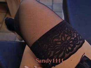 Sandy1111