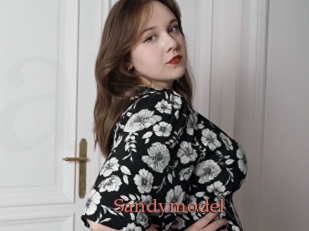 Sandymodel