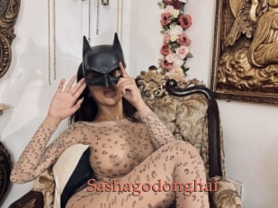 Sashagodonghai
