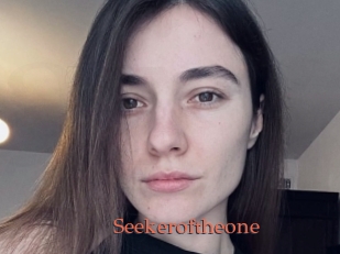 Seekeroftheone