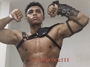 sexybigcock111 Anal Favorite