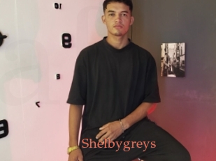 Shelbygreys