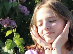 Sibleyhalloway