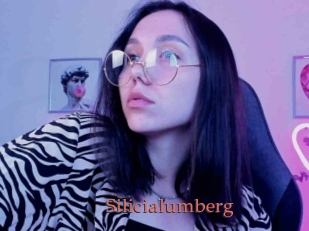 Silicialumberg