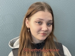 Silverbridgewate