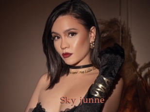 Sky_junne