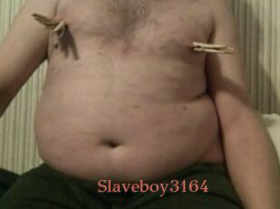 Slaveboy3164