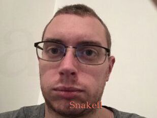 Snakefl