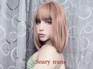 Soary_trans