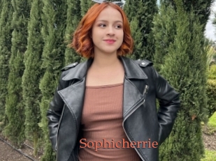 Sophicherrie