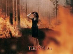 TEENY18n