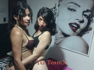 TG_TeamX