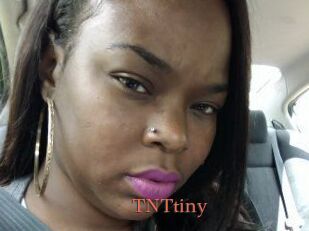 T_N_Ttiny