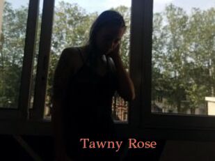 Tawny_Rose