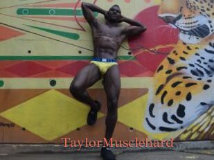TaylorMusclehard