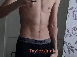 TaylorsJunk