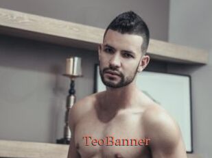 TeoBanner