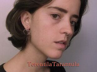TerentilaTarantula