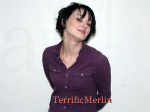 TerrificMerlin