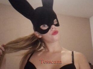 Tesscam