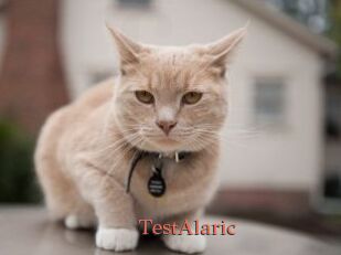 TestAlaric