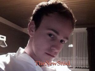 TheNewStud