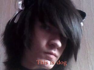 This_is_dog