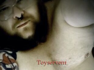 Toyservent