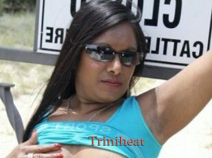 Triniheat