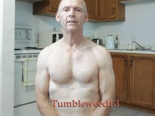 Tumbleweed13
