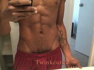 Twinkcut22