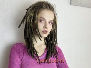 Taitegodsil